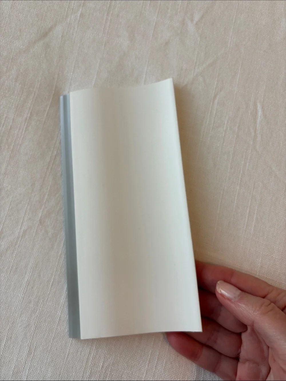 The Pampered Chef Dough Scraper — Cream Body with Gray Edge